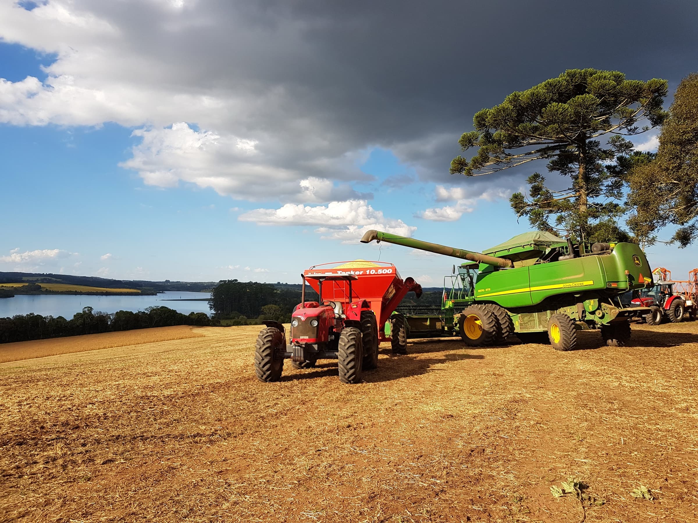 Máquinas agrícolas trabalhando na colheita próximas a um lago